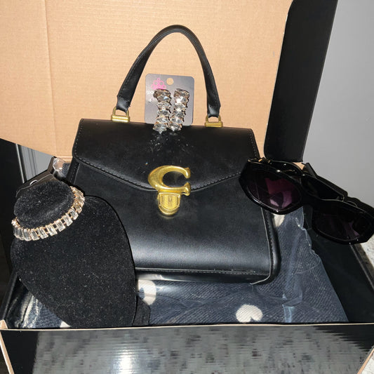 Coach Glam Subscription Box 1